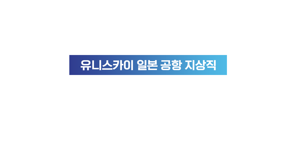 유니스카이 일본 공항 지상직