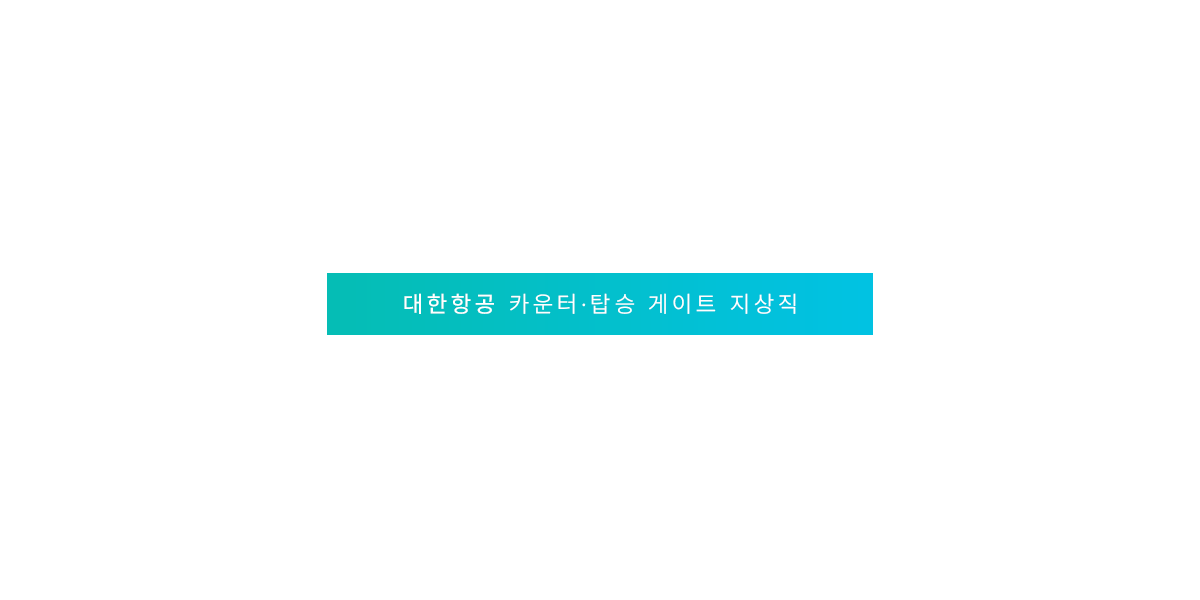 유니스카이 일본 공항 지상직 (대한항공)